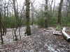 20210124144719-DSCN6538.JPG