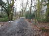 20210124144945-DSCN6540.JPG