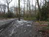20210124145026-DSCN6541.JPG