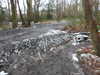 20210124145118-DSCN6542.JPG