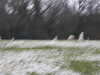 20210124150735-DSCN6549.JPG