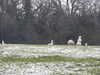 20210124150745-DSCN6550.JPG