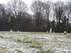20210124150812-DSCN6551.JPG