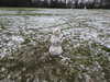 20210124150855-DSCN6552.JPG