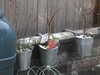 20210124152117-DSCN6563.JPG