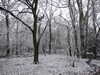 2021-02-07:Scadbury Snow
