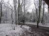 20210207120641-DSCF5766.JPG