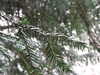 20210207122612-DSCF5793.JPG