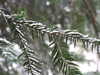 20210207122641-DSCF5794.JPG