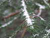 20210207122707-DSCF5795.JPG