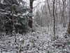 20210207123422-DSCF5802.JPG