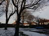 20210211161048-DSCN6796.JPG