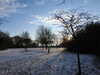 20210211161815-DSCN6799.JPG