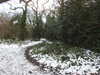 20210211162303-DSCN6801.JPG