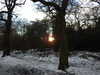 20210211162327-DSCN6802.JPG
