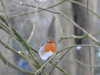 20210211162501-DSCN6806.JPG