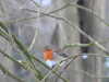 20210211162504-DSCN6807.JPG