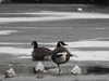 20210211164505-DSCN6825.JPG