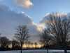 2021-02-12:Chislehurst snow sun birds
