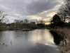 2021-02-15:Chislehurst-pond
