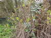 20210321103744-DSCN6831.JPG