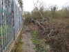 20210321103903-DSCN6833.JPG