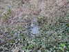 20210321105237-DSCN6835.JPG