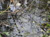 20210321105246-DSCN6836.JPG