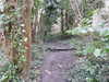 20210321105335-DSCN6837.JPG