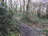 20210321105622-DSCN6838.JPG