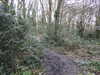 20210321105628-DSCN6839.JPG