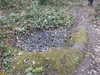 20210321105635-DSCN6840.JPG