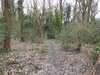 20210321105648-DSCN6841.JPG