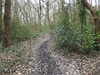 20210321105654-DSCN6842.JPG