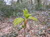 20210321105902-DSCN6845.JPG