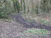 20210321110041-DSCN6846.JPG