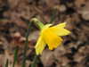 20210321111219-DSCN6849.JPG
