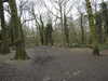 20210321111618-DSCN6852.JPG
