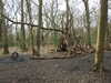 20210321111904-DSCN6853.JPG