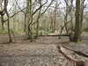 20210321113917-DSCN6858.JPG