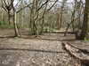 20210321113926-DSCN6859.JPG