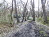 20210321115204-DSCN6864.JPG