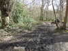 20210321115814-DSCN6865.JPG