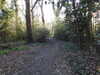 2021-03-22:Chislehurst Pond
