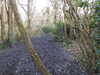 20210322165212-DSCN6867.JPG