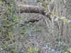 20210322165316-DSCN6868.JPG