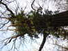 20210322165344-DSCN6869.JPG