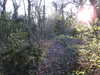 20210322165406-DSCN6870.JPG