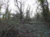 20210322165453-DSCN6872.JPG