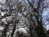 20210322165634-DSCN6873.JPG